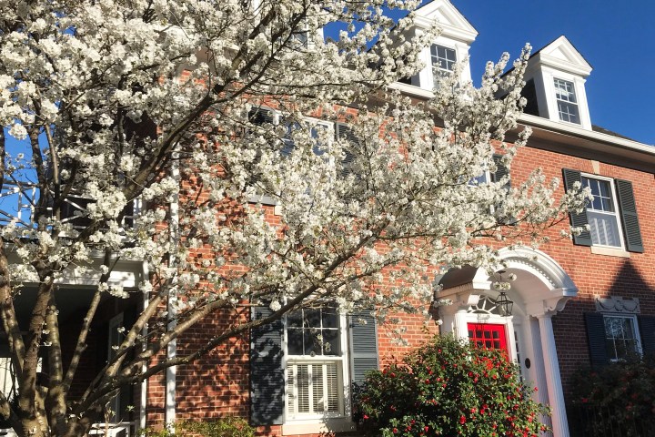 A Federal home in Cleveland Park