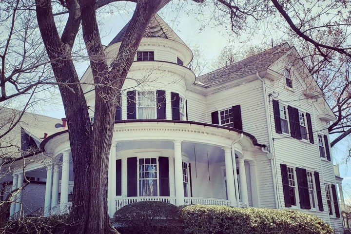 a tree in front of a building