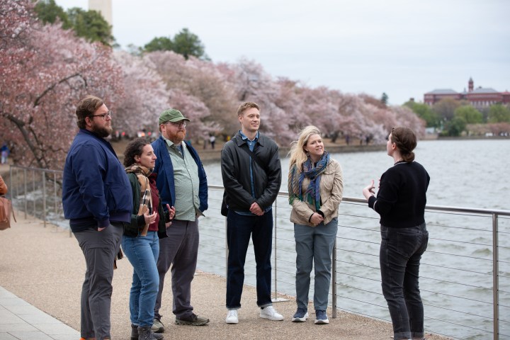 Tidal Basin: Beyond the Bloom Walking Tour