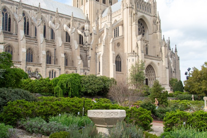 Gothic cathedral with tall tower and garden in foreground under a blue sky.
