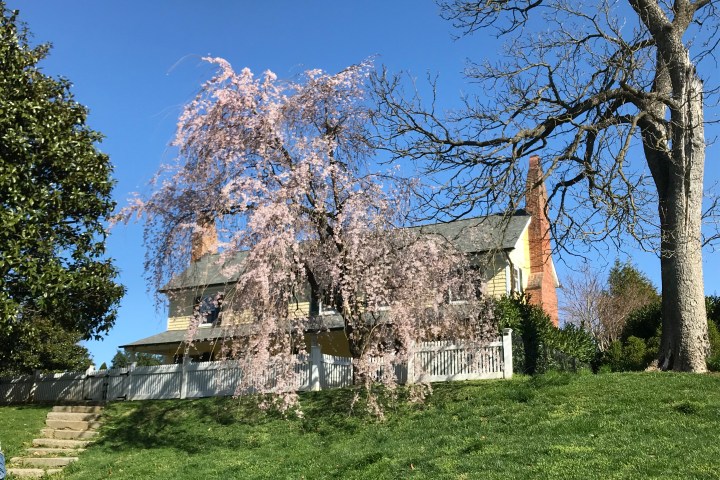 Uriah Forrest House in Cleveland Park