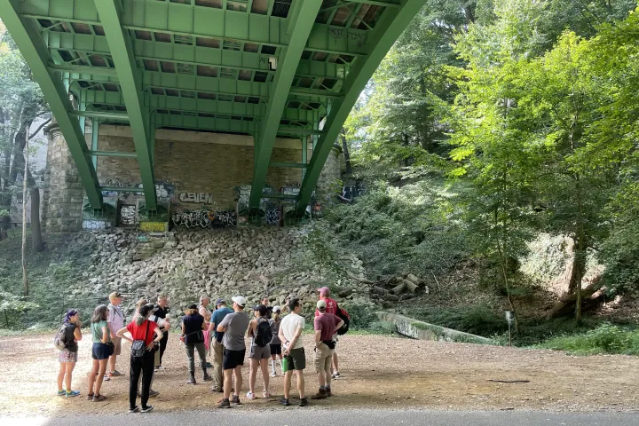 Group of people under a green bridge with graffiti, surrounded by trees.